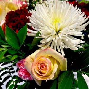 Meet your Posher, Lynn